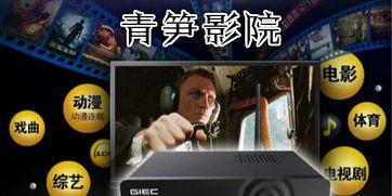 青笋网影院,探索光影世界,尽享视听盛宴